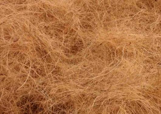 coco fiber coir