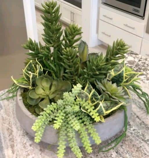 stone planters for succulents